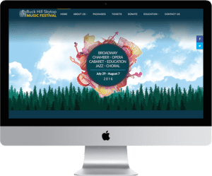 Buck Hill Skytop Music Festival - Website Design Website Development