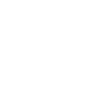New York Times Critics Pick